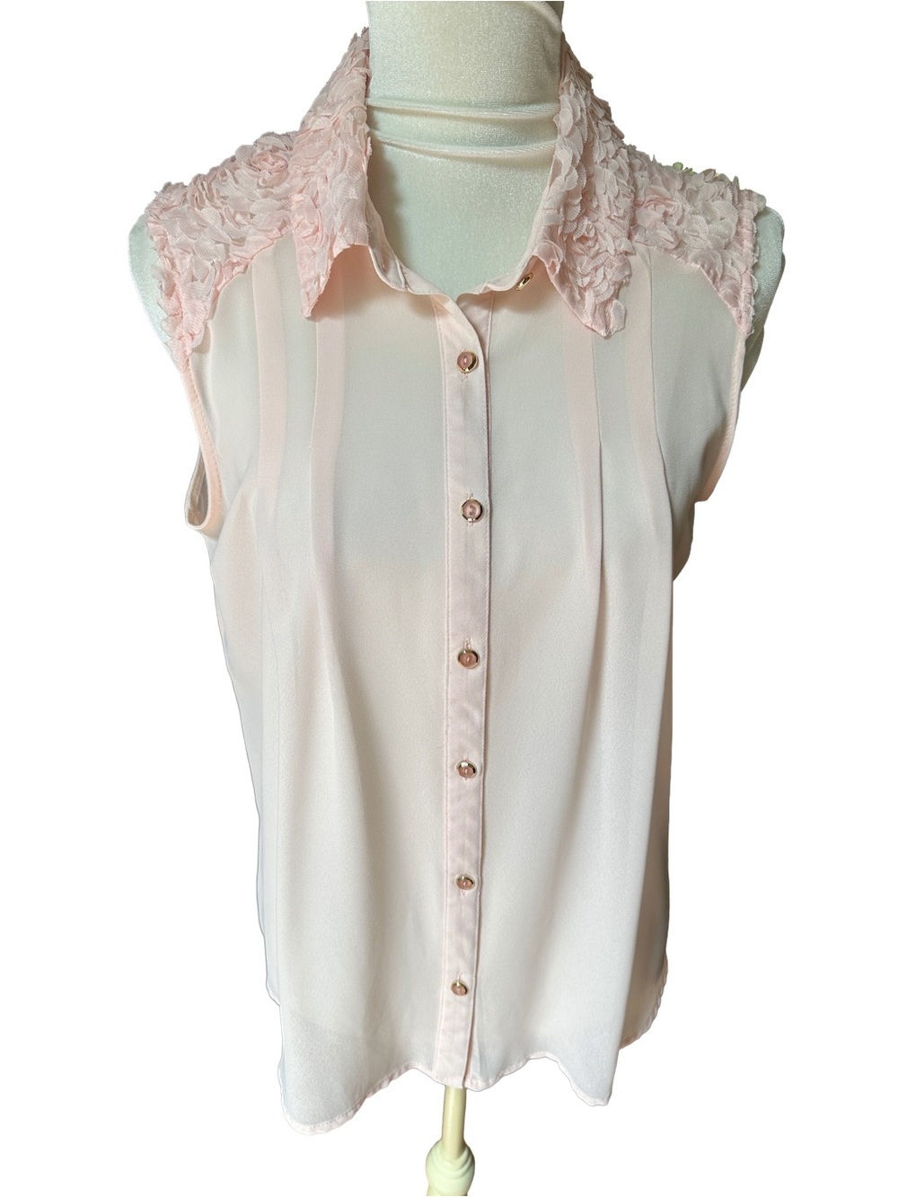 Sheer Feminine 3D floral Light Pink Sleeveless Blouse
